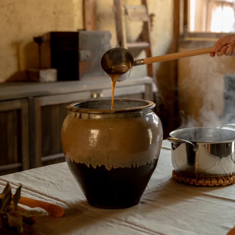 Spoon with fermented miso