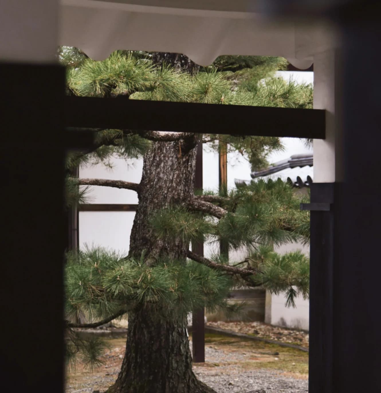 Traditional garden view through window