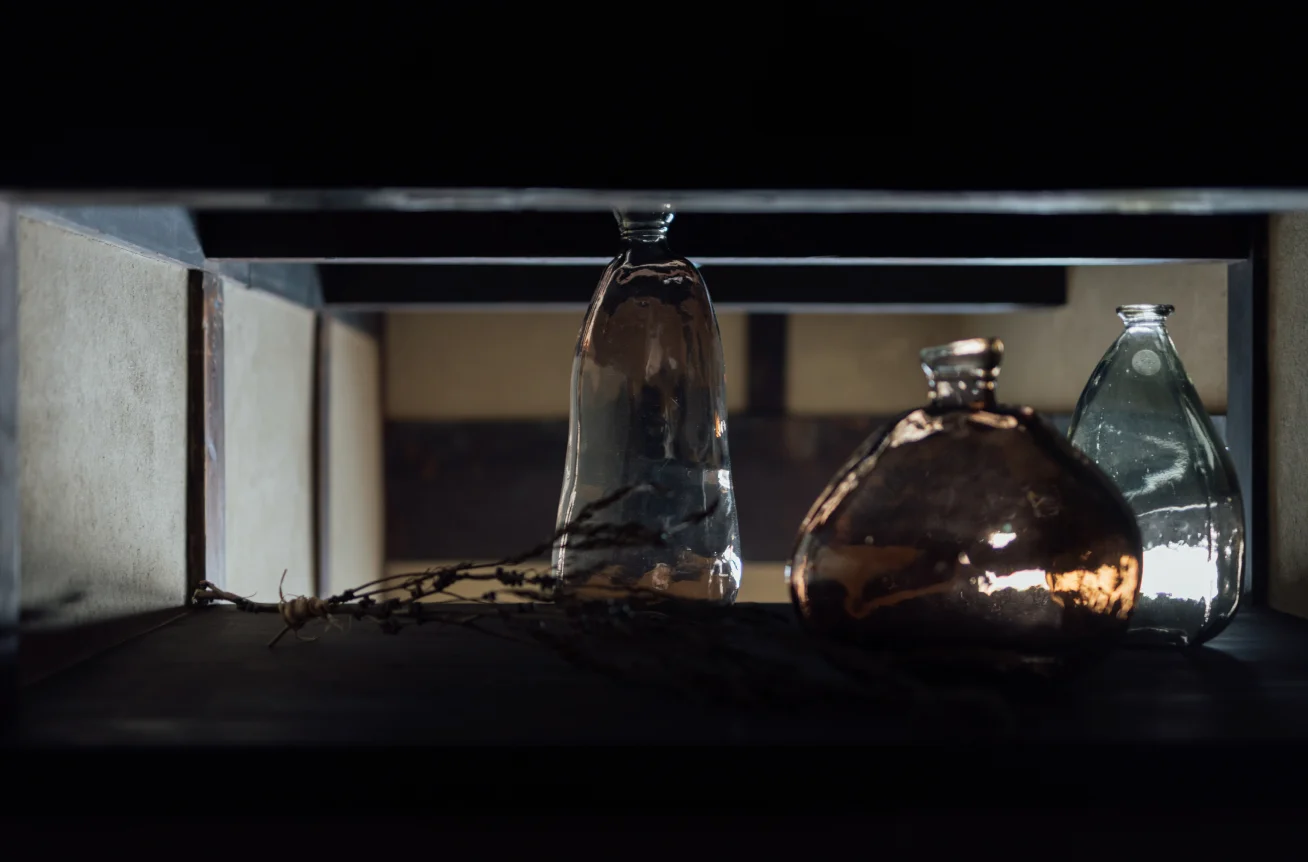 Glass bottles and dried branch displayed on a shelf in window light