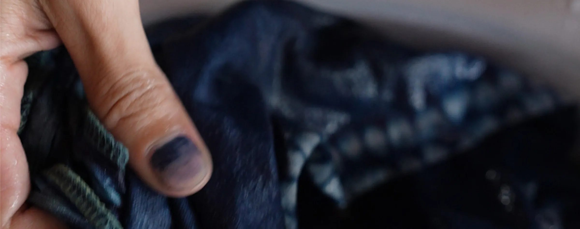 Indigo dye process