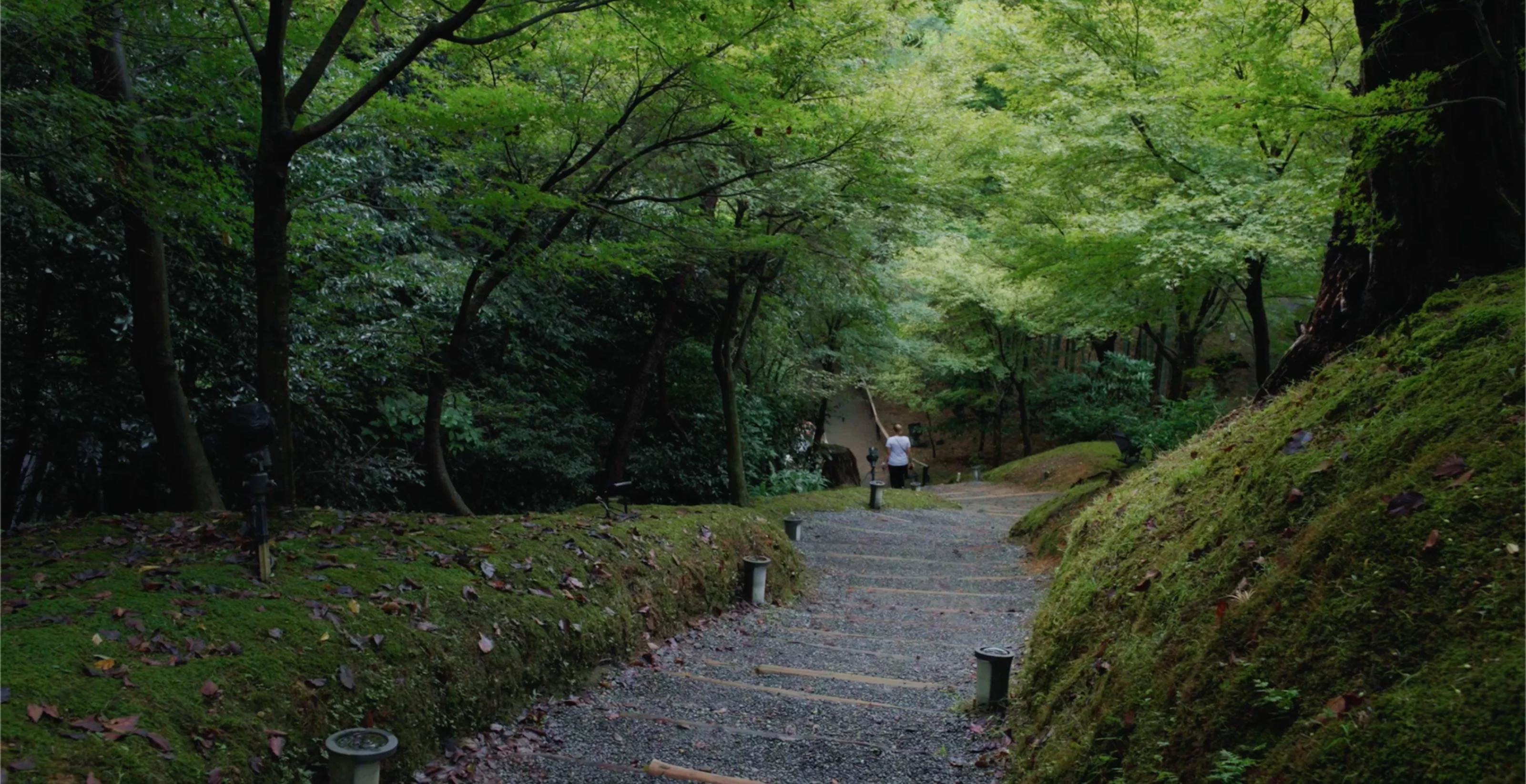 Image 3 of 9 in carousel.