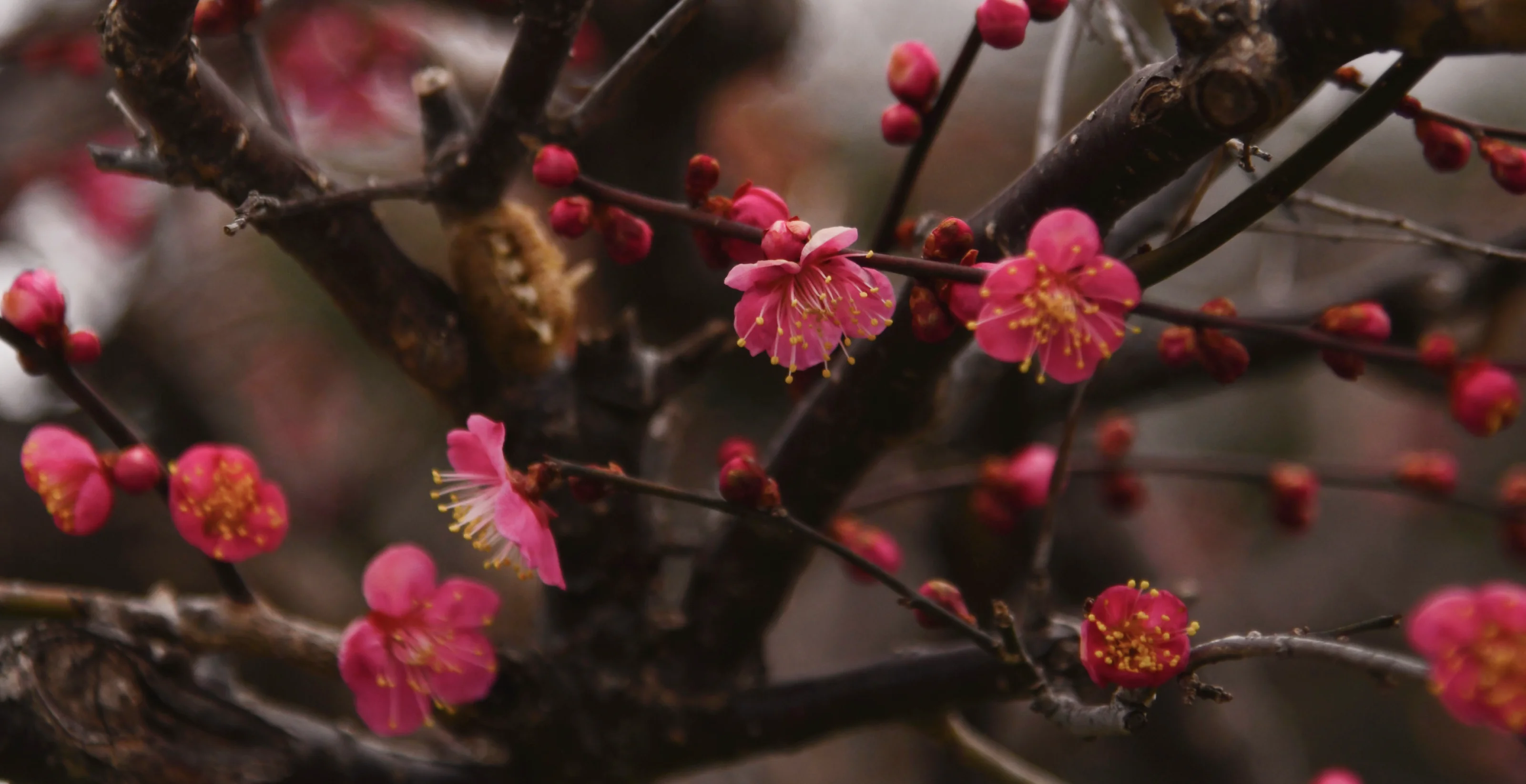 Image 8 of 9 in carousel.