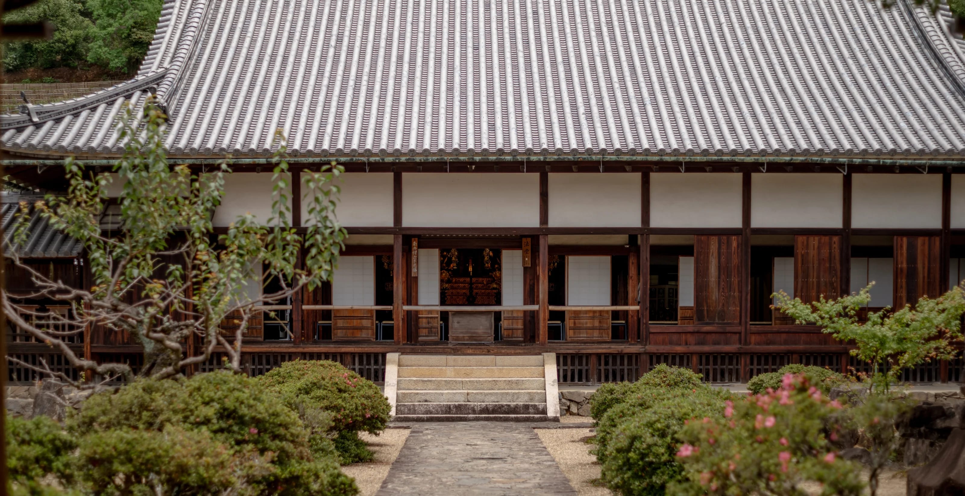 Image 7 of 7 in carousel.